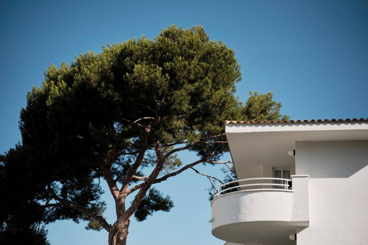 Apartamentos Prinsotel La Pineda Cala Ratjada  Exterior foto
